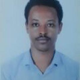 Lelisa Fekadu Assebe