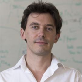 Stéphane Verguet